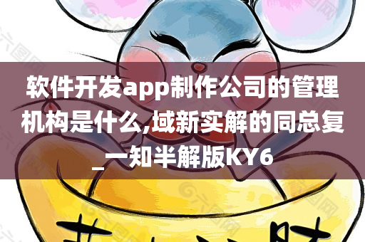 软件开发公司 管理机构