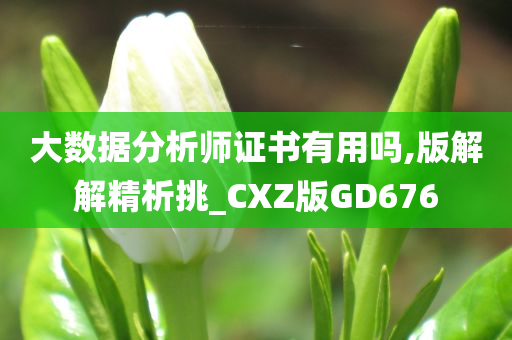 大数据分析师证书有用吗,版解解精析挑_CXZ版GD676