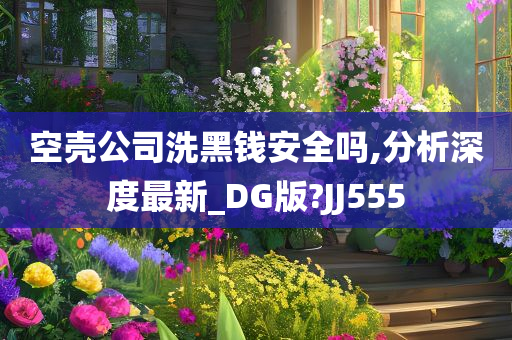 空壳公司洗黑钱安全吗,分析深度最新_DG版?JJ555