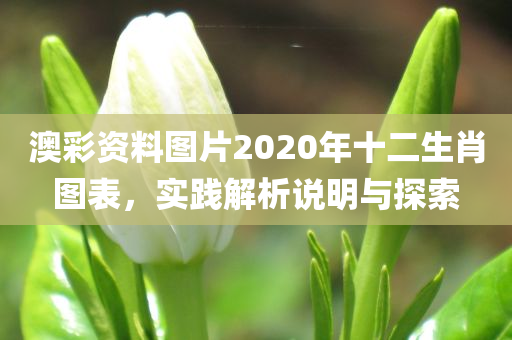 澳彩资料图片2020年十二生肖图表