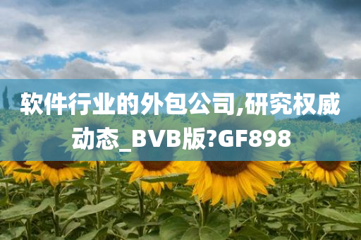 软件行业的外包公司,研究权威动态_BVB版?GF898