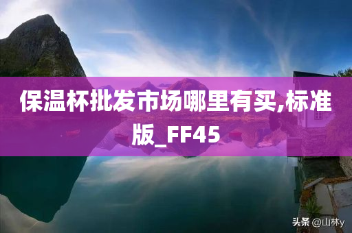 保温杯批发市场哪里有买,标准版_FF45