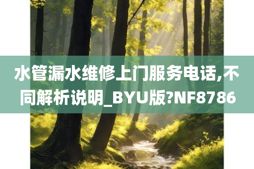 水管漏水维修上门服务电话,不同解析说明_BYU版?NF8786