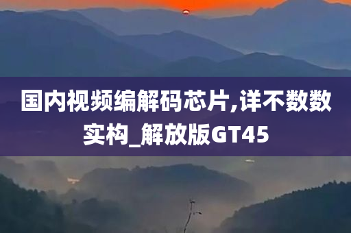 国内视频编解码芯片,详不数数实构_解放版GT45