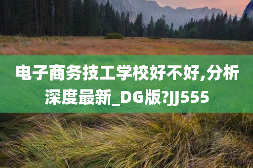 电子商务技工学校好不好,分析深度最新_DG版?JJ555