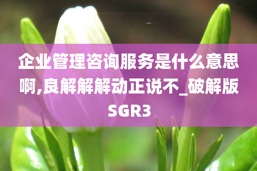 企业管理咨询服务是什么意思啊,良解解解动正说不_破解版SGR3