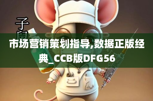 市场营销策划指导,数据正版经典_CCB版DFG56