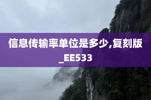 信息传输率单位是多少,复刻版_EE533