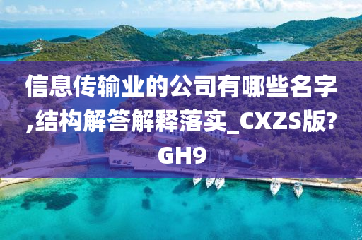 信息传输业的公司有哪些名字,结构解答解释落实_CXZS版?GH9