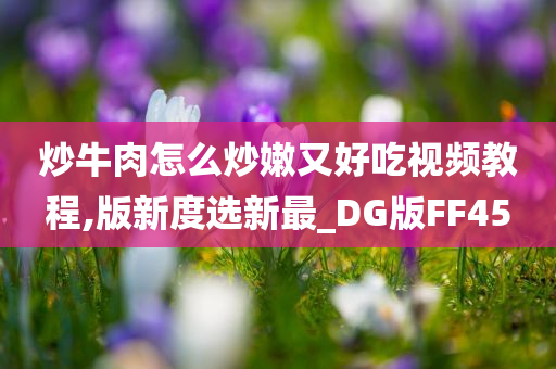 炒牛肉怎么炒嫩又好吃视频教程,版新度选新最_DG版FF45