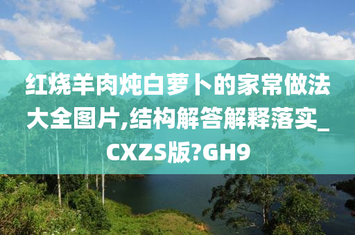 红烧羊肉炖白萝卜的家常做法大全图片,结构解答解释落实_CXZS版?GH9