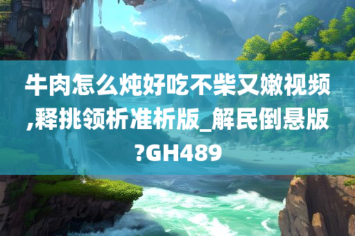 牛肉怎么炖好吃不柴又嫩视频,释挑领析准析版_解民倒悬版?GH489