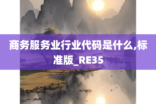 商务服务业行业代码是什么,标准版_RE35