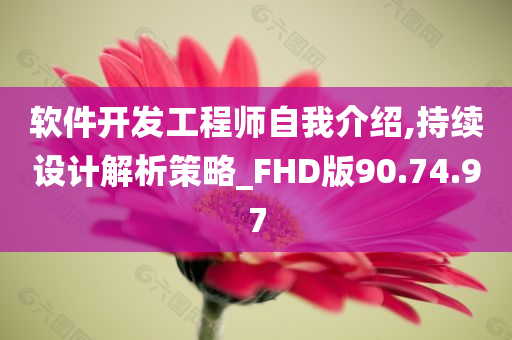 软件开发工程师自我介绍,持续设计解析策略_FHD版90.74.97