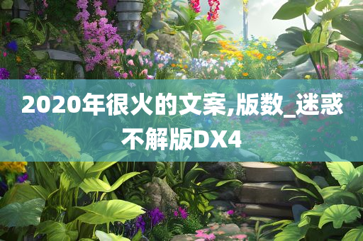 2020年很火的文案,版数_迷惑不解版DX4