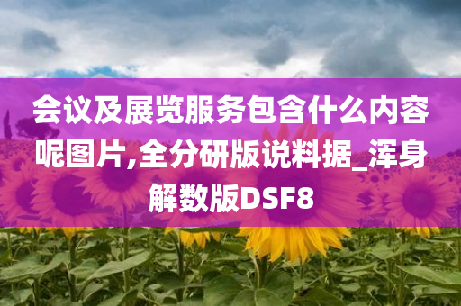 会议及展览服务包含什么内容呢图片,全分研版说料据_浑身解数版DSF8