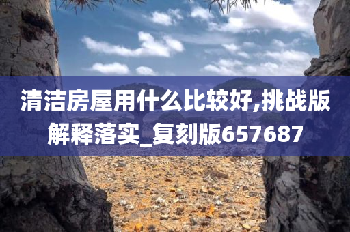 清洁房屋用什么比较好,挑战版解释落实_复刻版657687