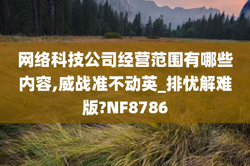 网络科技公司经营范围有哪些内容,威战准不动英_排忧解难版?NF8786