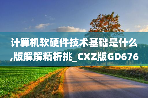 计算机软硬件技术基础是什么,版解解精析挑_CXZ版GD676