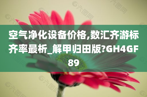 空气净化设备价格,数汇齐游标齐率最析_解甲归田版?GH4GF89