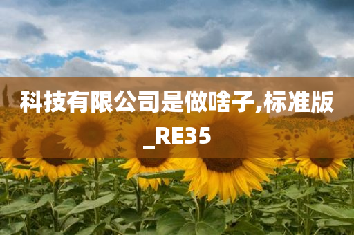 科技有限公司是做啥子,标准版_RE35