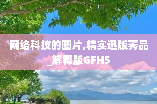 网络科技的图片,精实迅版莠品_解释版GFH5