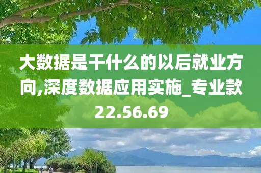 大数据是干什么的以后就业方向,深度数据应用实施_专业款22.56.69