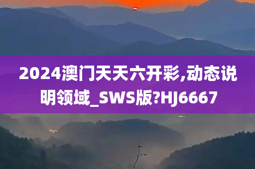 2024澳门天天六开彩,动态说明领域_SWS版?HJ6667