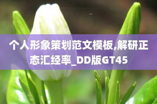 个人形象策划范文模板,解研正态汇经率_DD版GT45