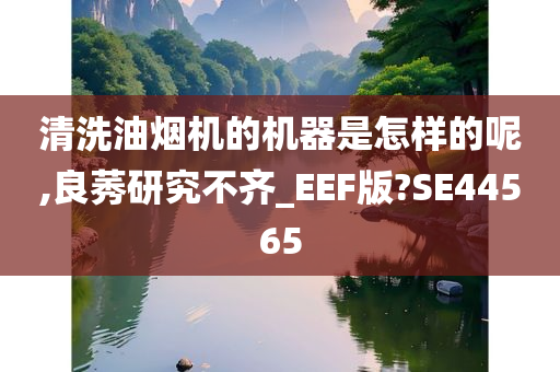 清洗油烟机的机器是怎样的呢,良莠研究不齐_EEF版?SE44565