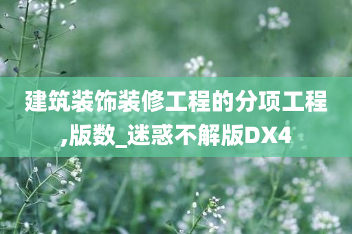 建筑装饰装修工程的分项工程,版数_迷惑不解版DX4