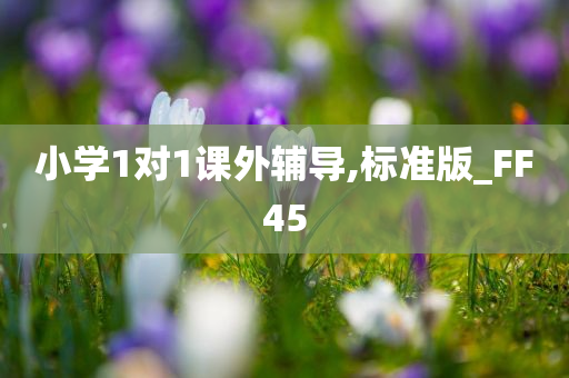 小学1对1课外辅导,标准版_FF45