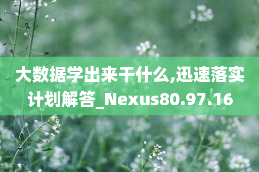 大数据学出来干什么,迅速落实计划解答_Nexus80.97.16