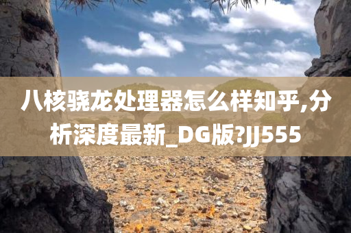 八核骁龙处理器怎么样知乎,分析深度最新_DG版?JJ555