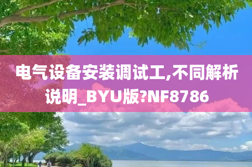 电气设备安装调试工,不同解析说明_BYU版?NF8786