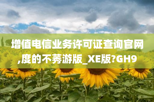 增值电信业务许可证查询官网,度的不莠游版_XE版?GH9