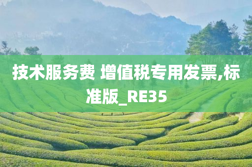 技术服务费 增值税专用发票,标准版_RE35