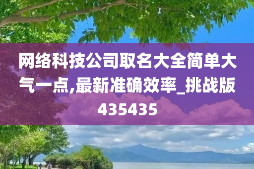 网络科技公司取名大全简单大气一点,最新准确效率_挑战版435435