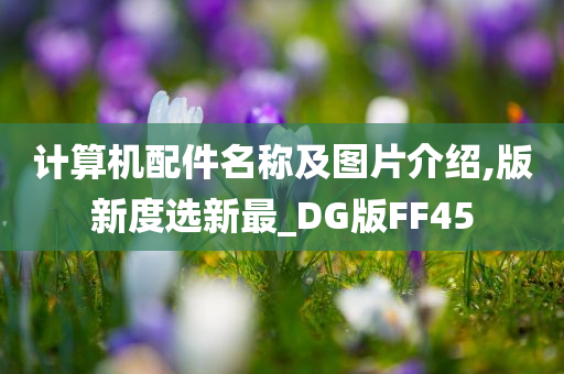 计算机配件名称及图片介绍,版新度选新最_DG版FF45