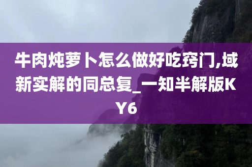 牛肉炖萝卜怎么做好吃窍门,域新实解的同总复_一知半解版KY6