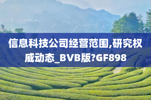 信息科技公司经营范围,研究权威动态_BVB版?GF898