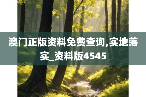 澳门正版资料免费查询,实地落实_资料版4545