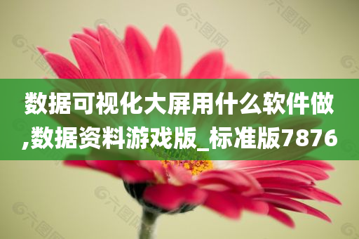 数据可视化大屏用什么软件做,数据资料游戏版_标准版7876