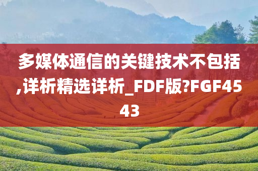 多媒体通信的关键技术不包括,详析精选详析_FDF版?FGF4543