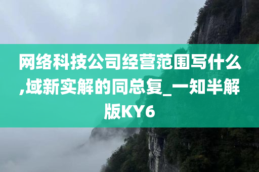 网络科技公司经营范围写什么,域新实解的同总复_一知半解版KY6