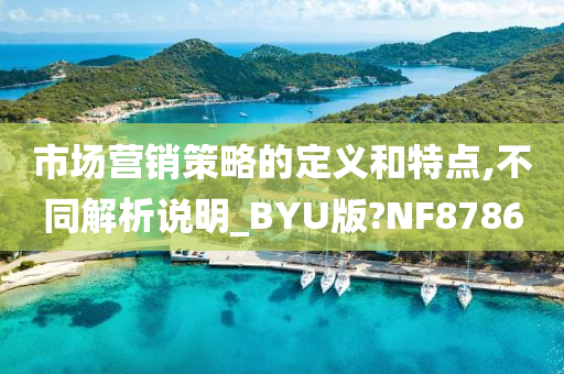 市场营销策略的定义和特点,不同解析说明_BYU版?NF8786