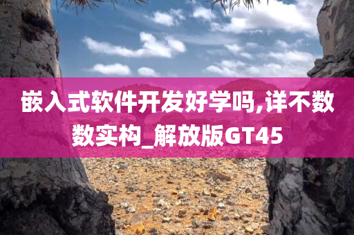 嵌入式软件开发好学吗,详不数数实构_解放版GT45