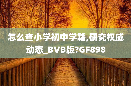 怎么查小学初中学籍,研究权威动态_BVB版?GF898