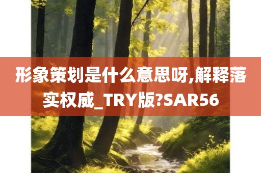 形象策划是什么意思呀,解释落实权威_TRY版?SAR56