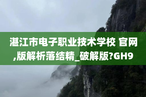 湛江市电子职业技术学校 官网,版解析落结精_破解版?GH9